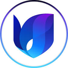 Станом на початок 2024 року Varyence задонатила майже $250 000 доларів на ЗСУ.

