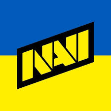 З лютого 2022 року по квітень 2023 року NAVI разом із партнерами передали понад 320 машин різного призначення українським військовим. Також «Народжені перемагати» провели благодійний турнір на підтримку України BORN TO BE BRAVE, під час якого було зібрано 500 тисяч доларів на покупку медичного обладнання для українських лікарів.