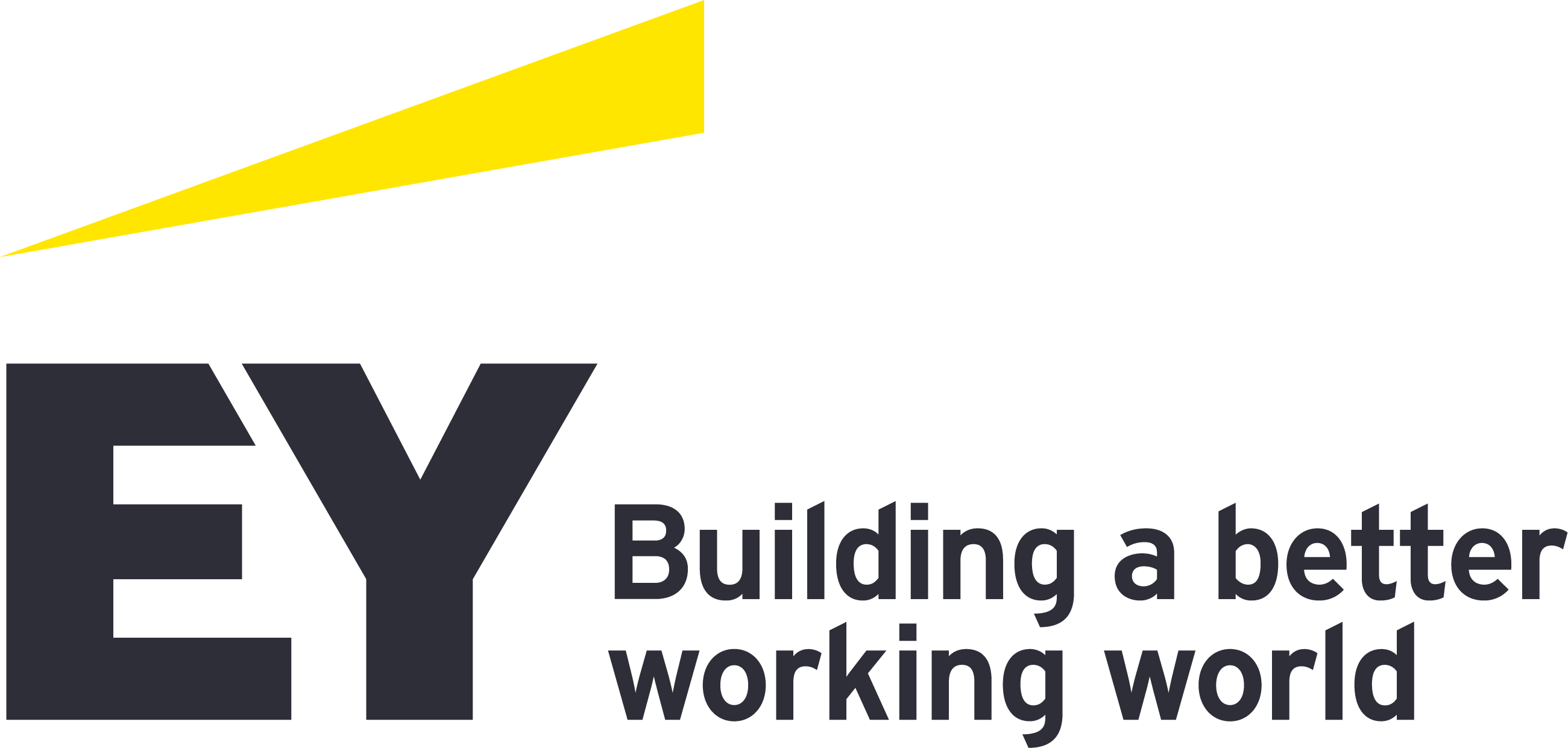 Протягом 2023 року EY Ukraine акцію «Зарплата одного дня на потреби ЗСУ» провела шість разів. Виконали 127 замовлень від різних підрозділів ЗСУ і придбали 39 дронів, 3 старлінки, 21 оптичний пристрій, 1 автомобіль, 10 зарядних станцій та багато іншого. Провели додаткові акції зі збору коштів та закупили смачні й корисні подарунки постійним замовникам з передової до Дня Захисника і записали відеоподяку для них. Також передали понад 30 ноутбуків компанії на потреби ЗСУ. 